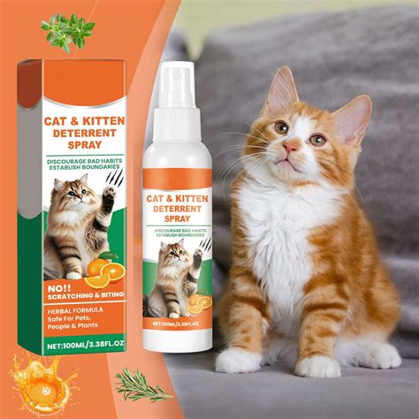 The Best Indoor Cat Repellent to Keep Your Furry Friend Out of Trouble.